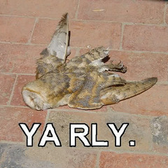 MyOwlsAreDead Ahh!