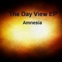 Amnesia Music Corp