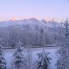 Richard David Widdowson