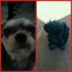 Jennifer IsCute Viruega