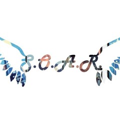 S.O.A.R.