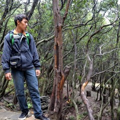 Shofi Ihsan