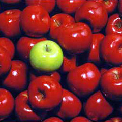 sleepless Green Apple