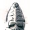Encephus