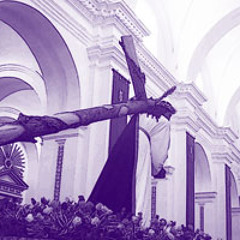 Divina Palabra