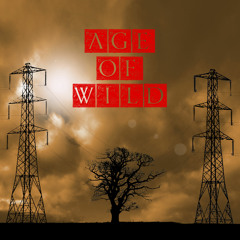 Age of Wild
