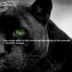 dangabrielteodorescu