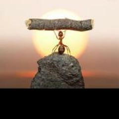 Kimberly Holland-Falbo