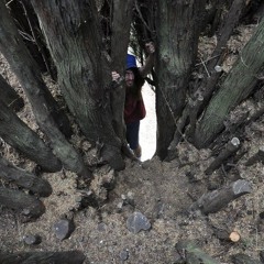 The West Coast Bullies