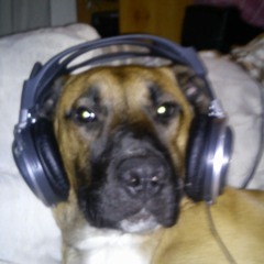 tinie tempah