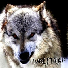 THE REAL WOLFTRAP