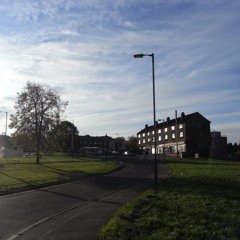 miltonartsproject