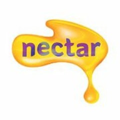 Damir Based Gustapos Hunt