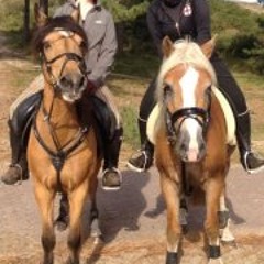 Melissa Maxime Zonneveld