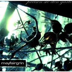 {mayfairgrin}