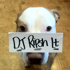 DJ Ripsh It