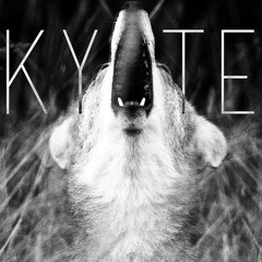 Kyote - Untitled (Forthcoming) PREVIEW