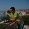 DaWeed1001