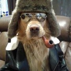 Fulvio Federico Farina