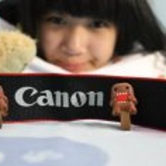 Shandy Lawrence Wijaya