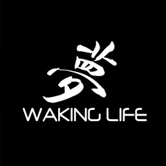 Waking life Music