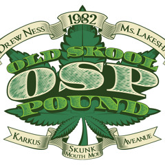 'PASSIN BY by The Old Skool Pound