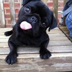 Tyrell Gaspari Rawiri