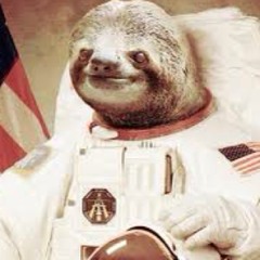 SingingSloth