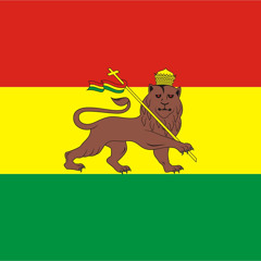 Sluggy Ranks - Jah Is Guiding I