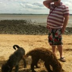 Michael O'Shaughnessy