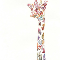 Starsndflies