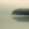 hundredpulses.