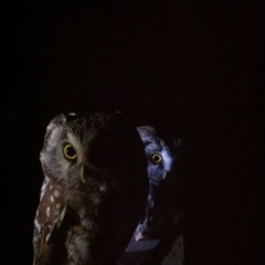 Roger Staszewski Malm