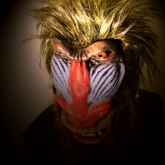 We Are Monkeys (WAM)