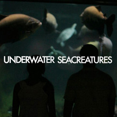 Underwater Seacreatures