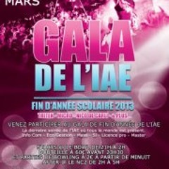 Bde Iae Savoie Mt-blanc