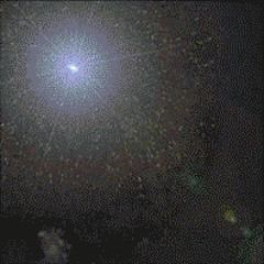 Denise Jânnette Bruce