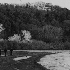 Black Lake Confidence