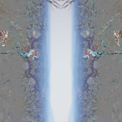 D Light