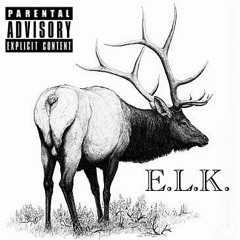 Owen Brodhead and ELK