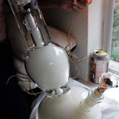 Prosbong