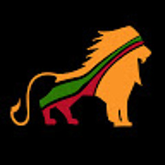 Fyah T