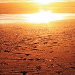 (Music Instructor)-Super Sonic Brainbug Remix mp3