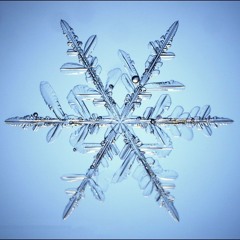 Bothsnow