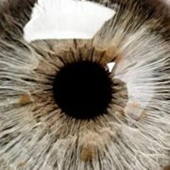 Matteo Angelo Teruzzi