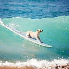 Patricio Pastor Rodriguez