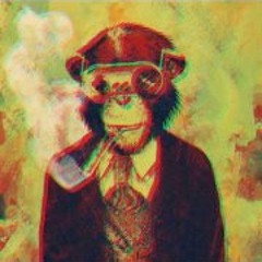Monkeyurbanproject