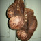 Jeroen H