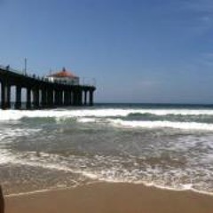 Lisa Williams-Mattson