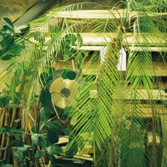 Butterama Jazz Dept.